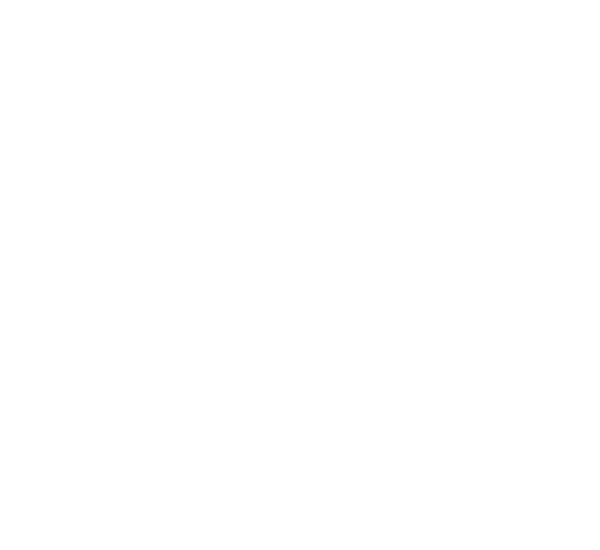 Prodevo Logo Footer